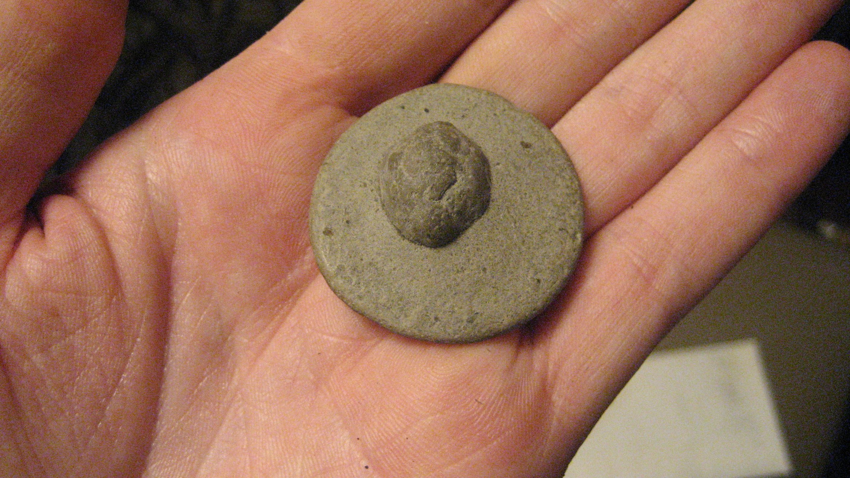 Fossil from New York