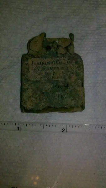 Found in my yard.