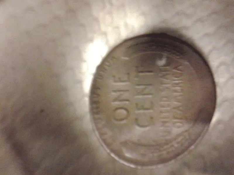 found Oct. 2, 2013 at Freedom Park