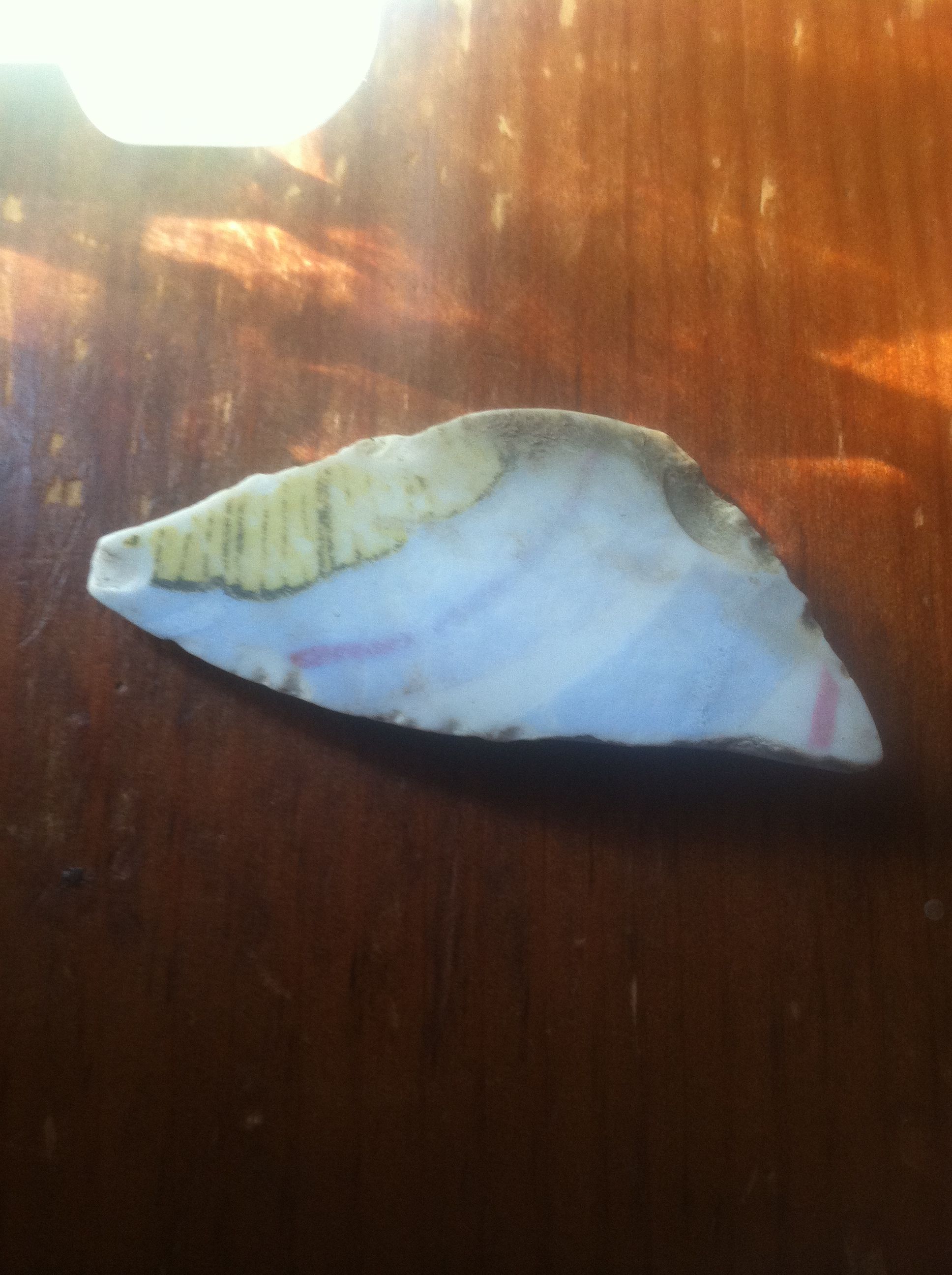 Found on beach of creek in the woods.