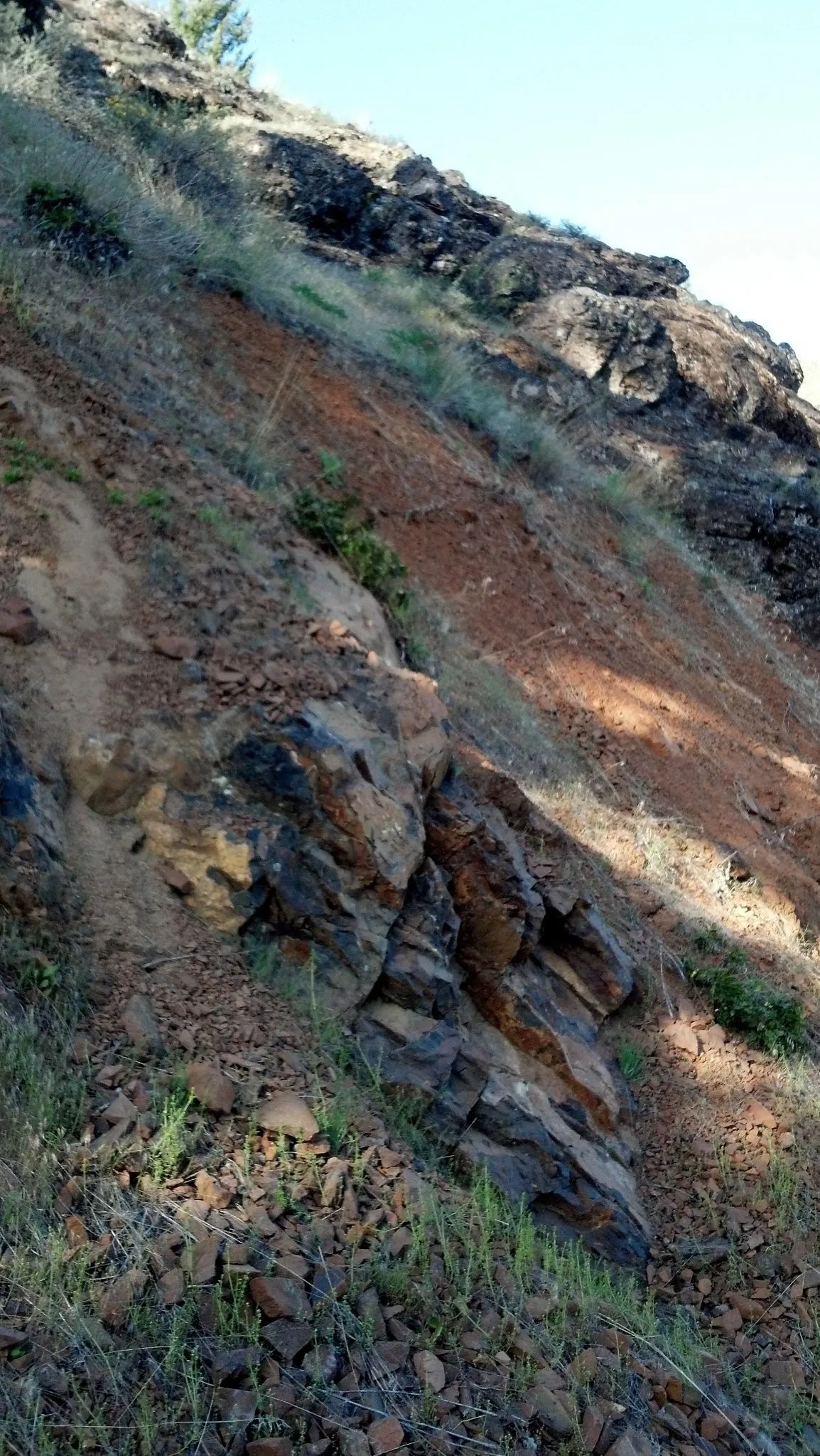 Found some Agates and Blue/Gray Chalcedony here. First Creek area by Liberty, WA.