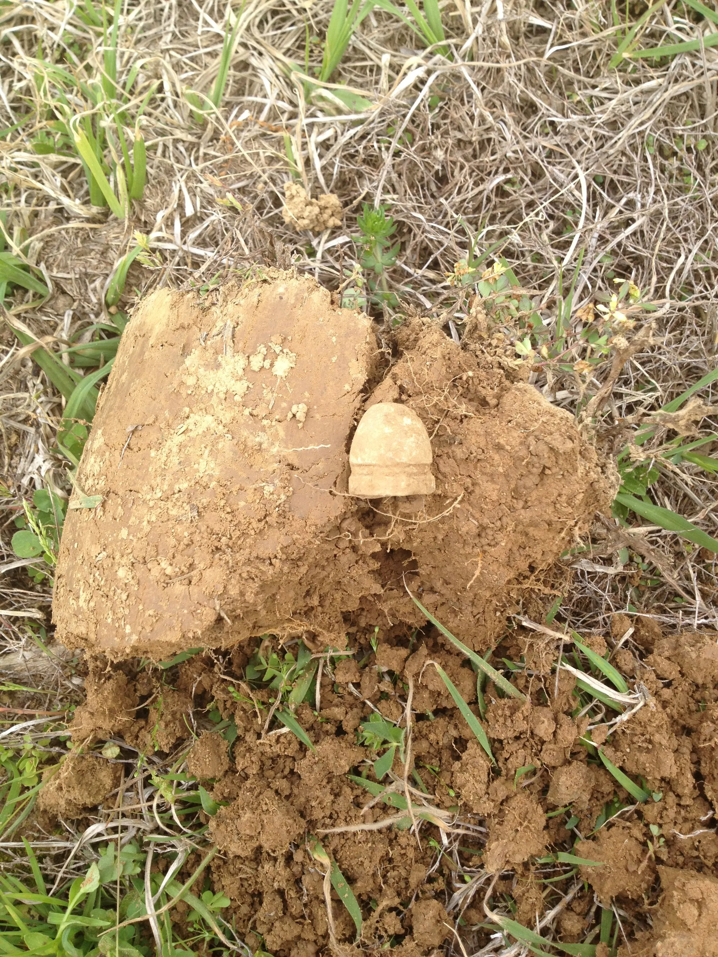 French Dragoon Bullet found at THE SEIGE OF VICKSBURG