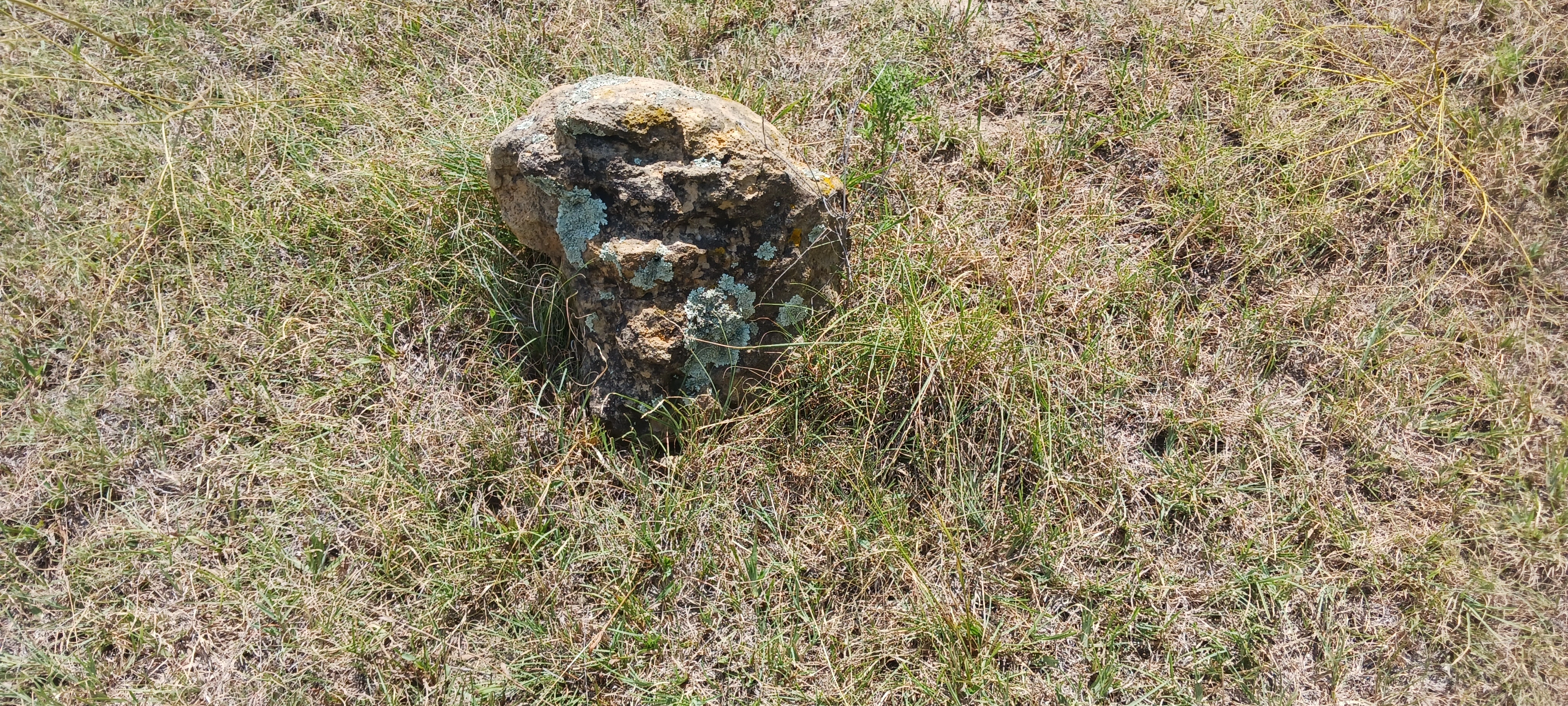Front head