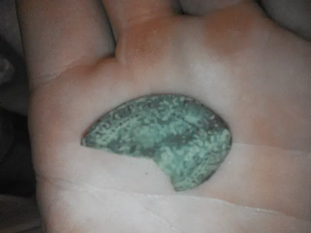 Front Topside of Brazilian Reis?