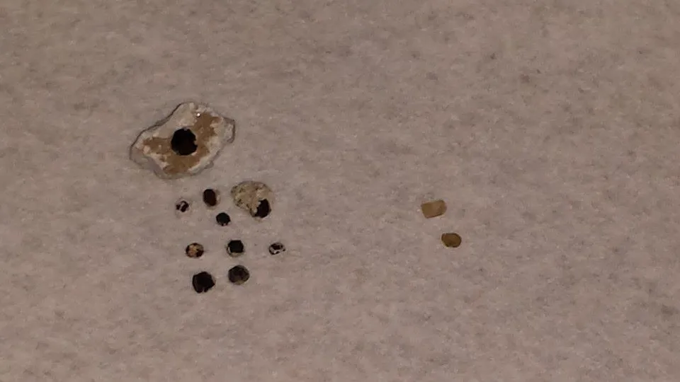 Garnets (left) and Topaz (right) from Ruby Mtn in Chaffee county. Very cool to be able to find birthstones for my whole family in one spot (Topaz for 