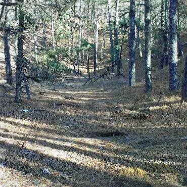 Glacial Kettle Hole used as target range.