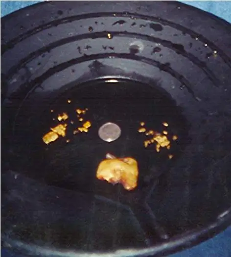Gold Prospecting