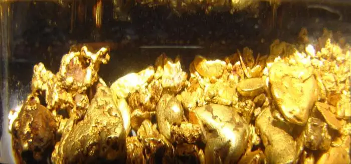 Gold Prospecting