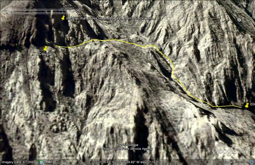 GoogleEarth Image couger