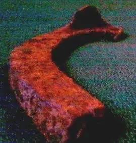 Half Cart-Horse Shoe 2