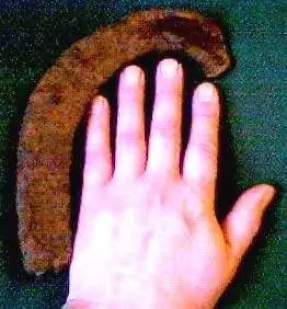 Half Cart-Horse Shoe 4