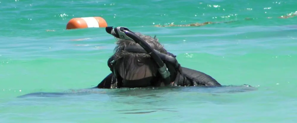 HARD AT WORK IN JAMAICAN WATERS