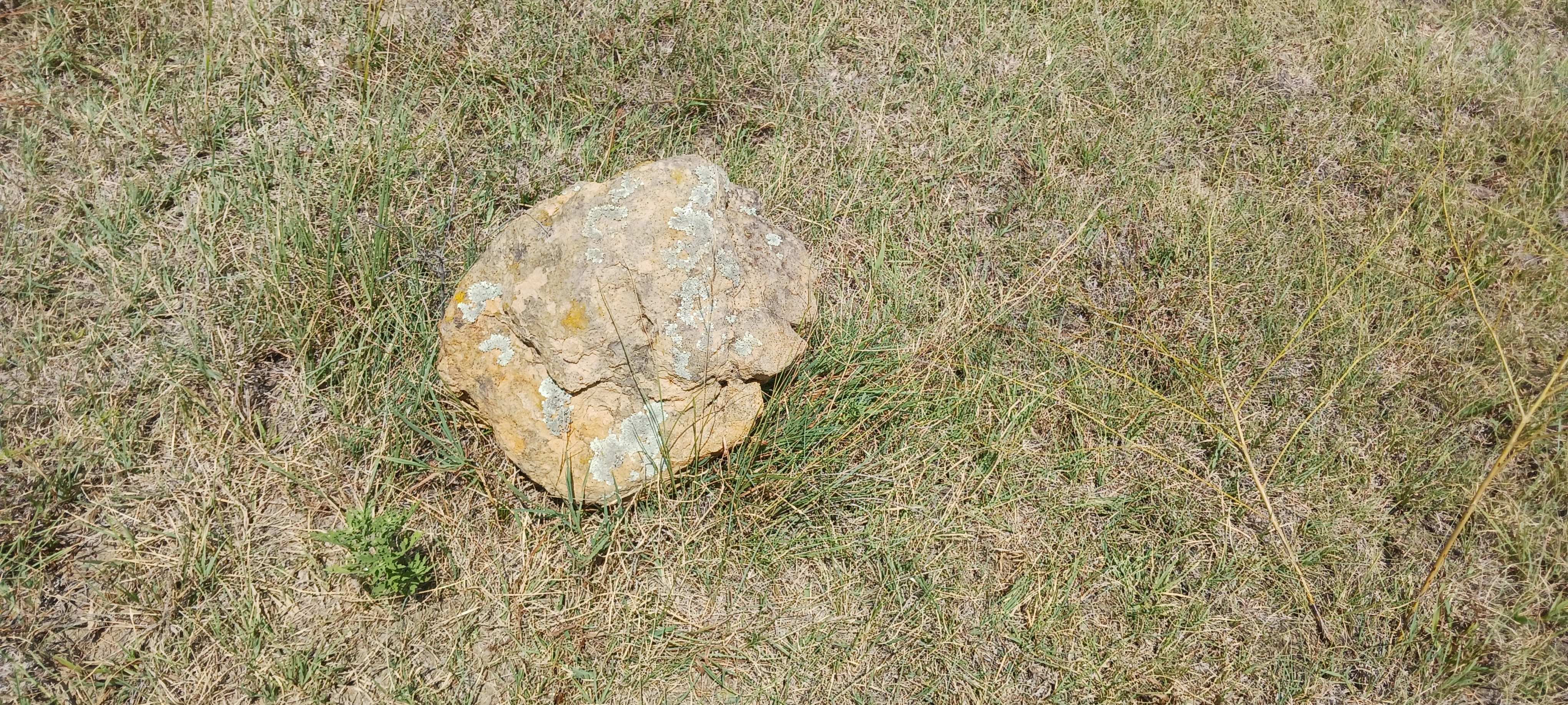 Head side
