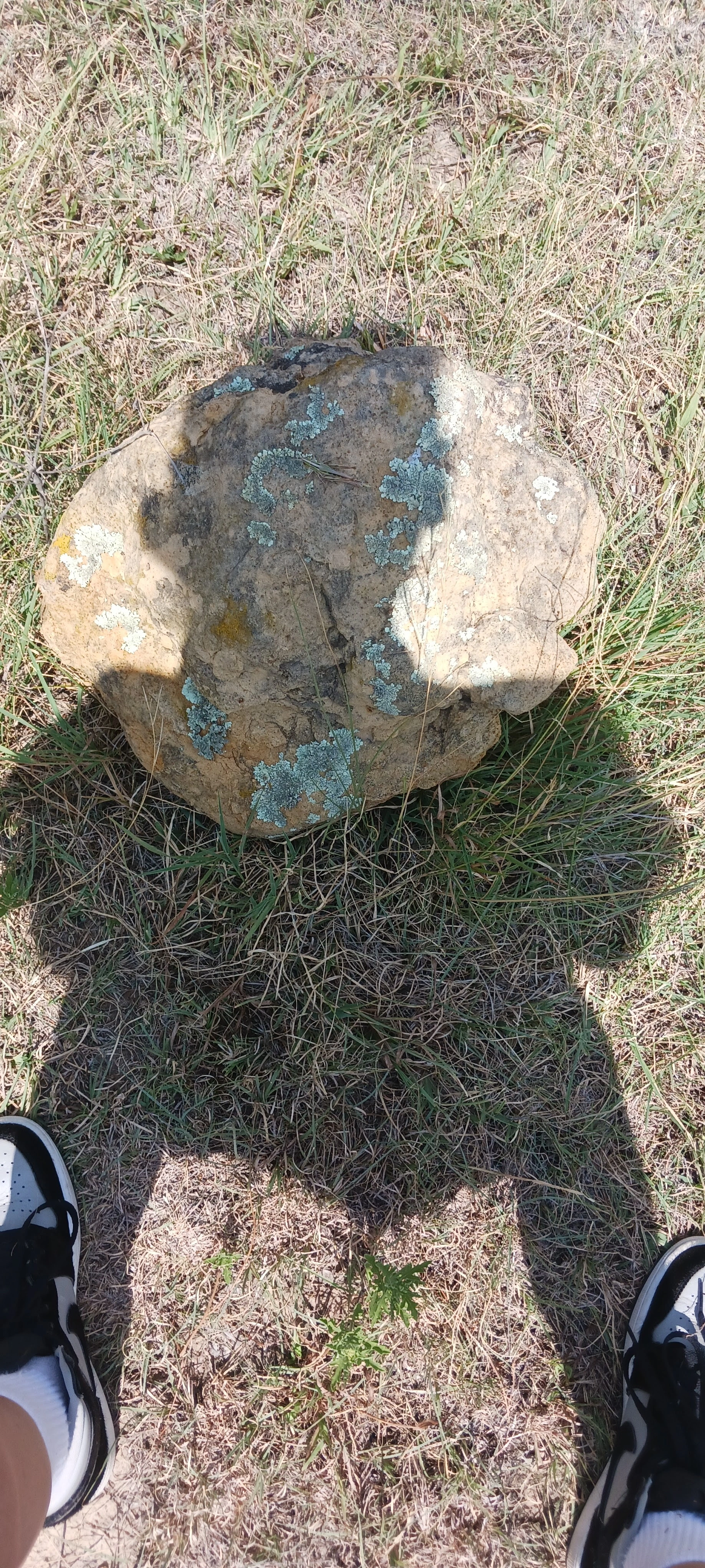 Head that looks away from small mound