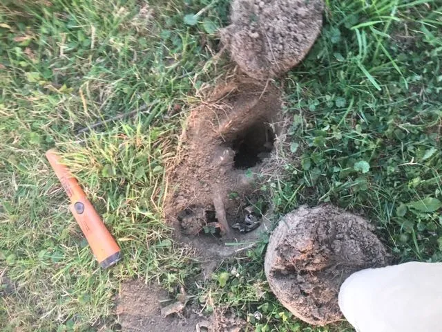 If only I knew this was going to be a toasty wheatie before I started digging...