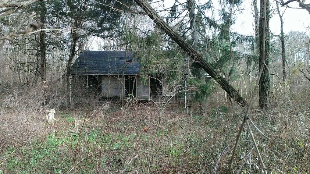 IMAG0157