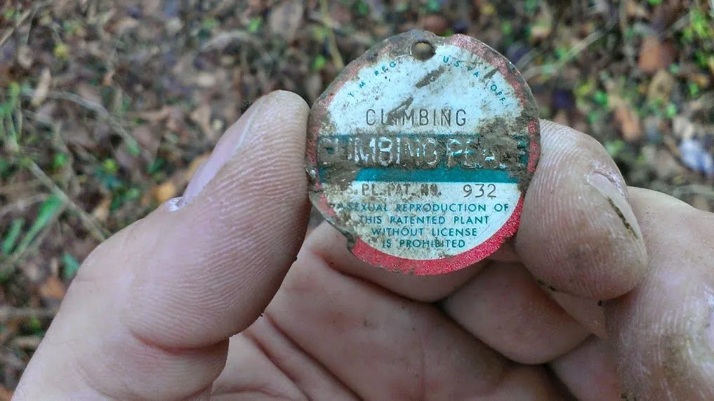 IMAG0158
