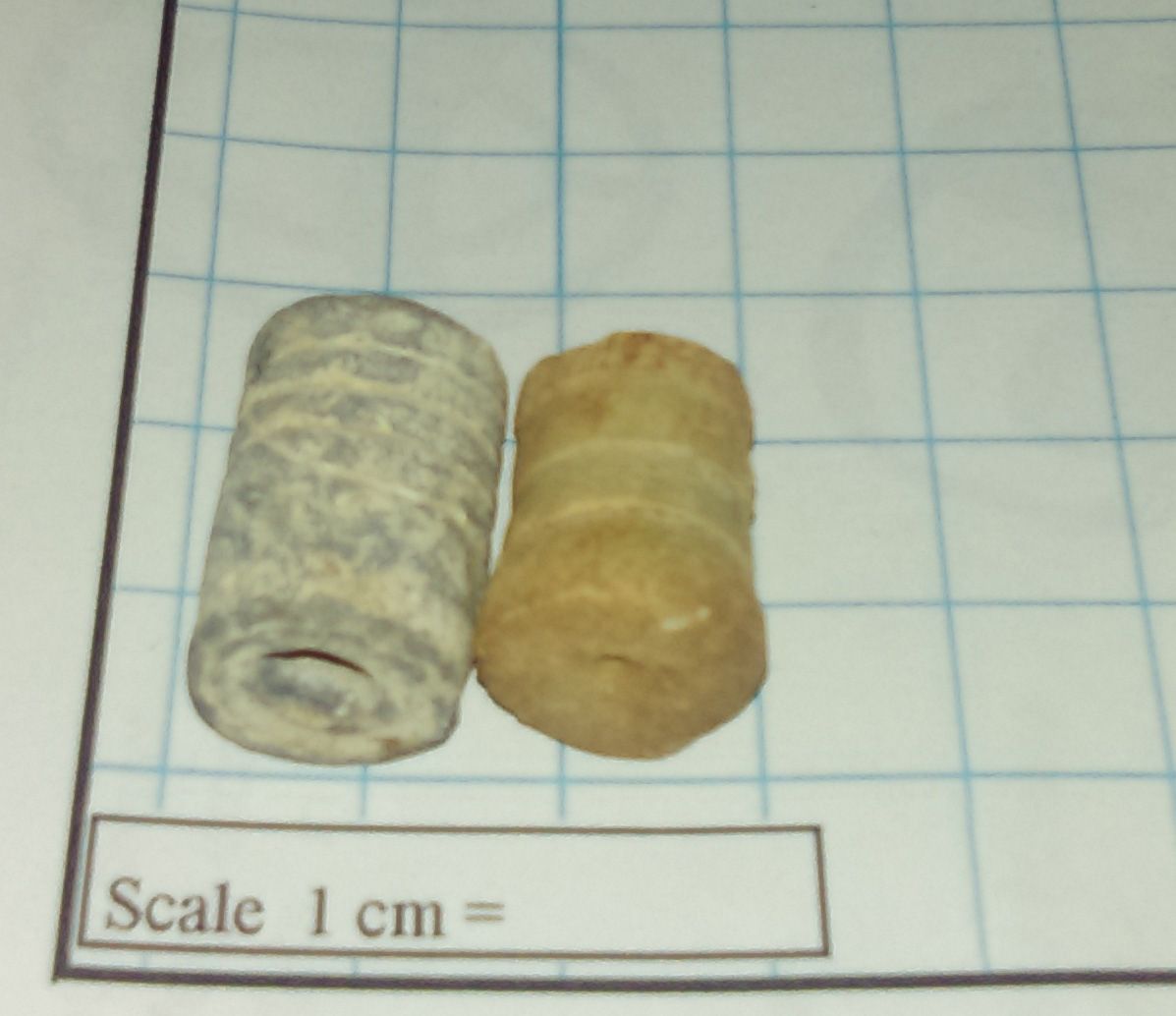 IMAG0397

On left a pulled bullet, battle of Decatur ALA.
On right an unidentified bullet with an entirely flat nose. Fired.