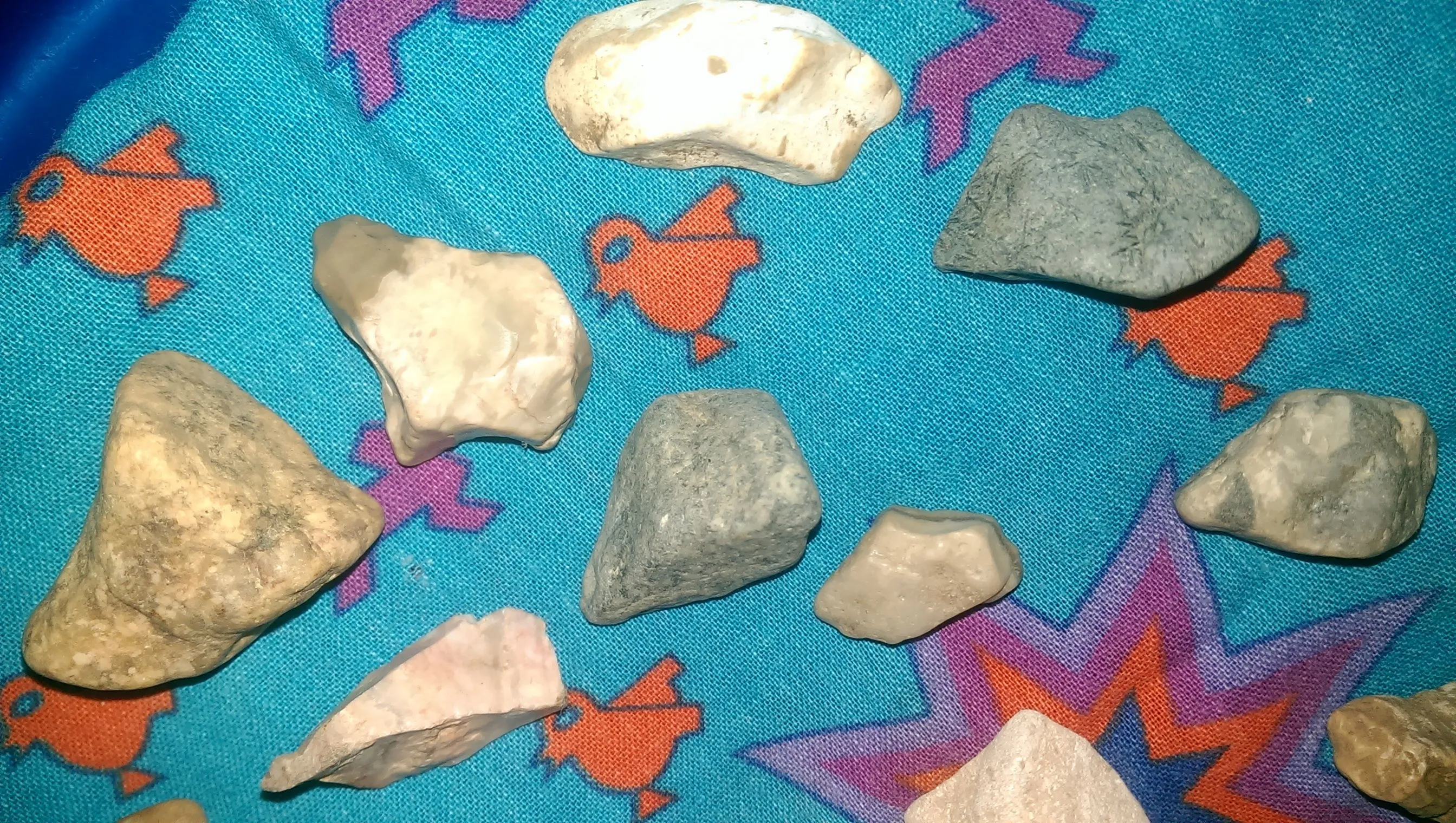 IMAG2582