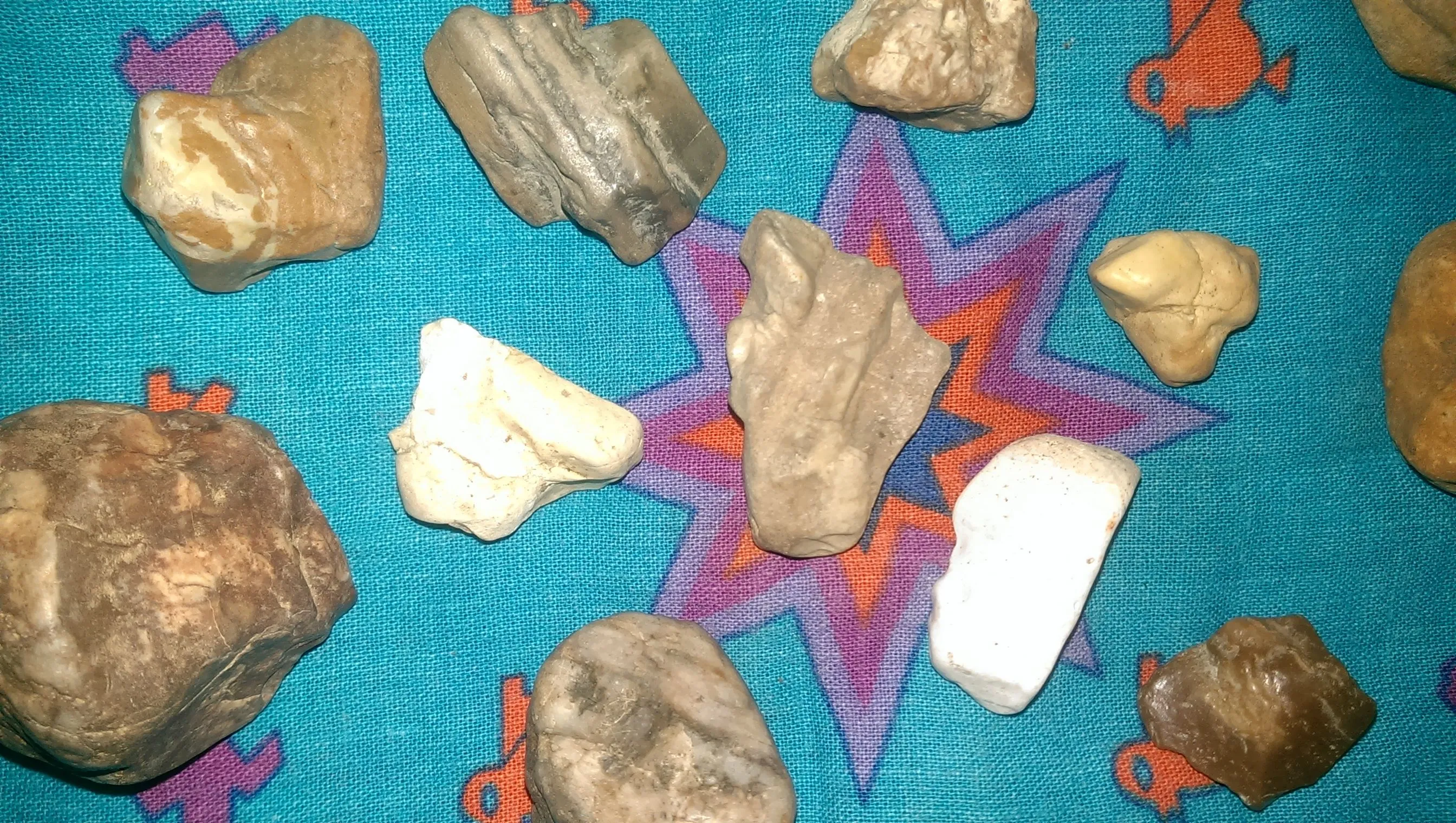 IMAG2591