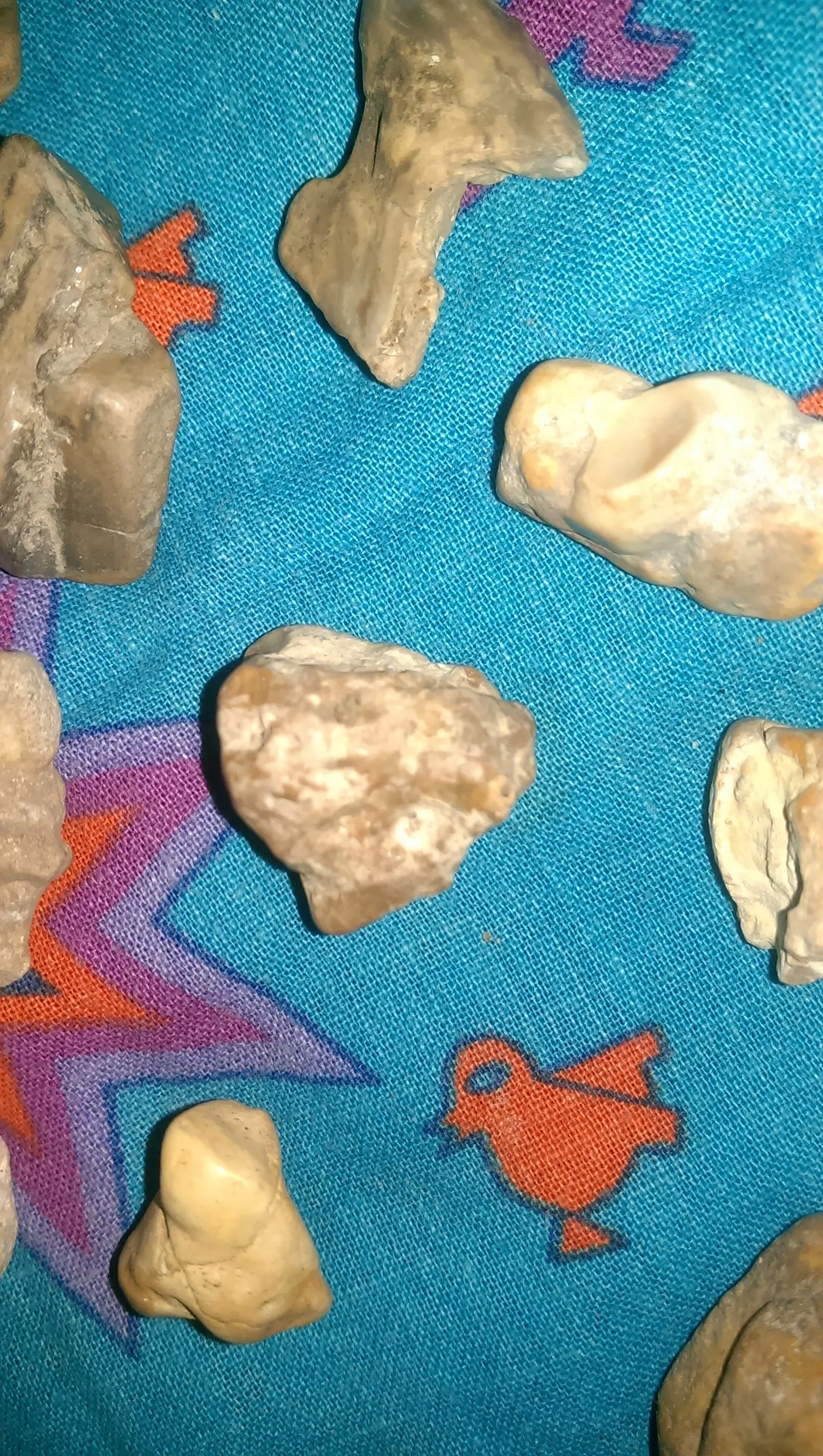 IMAG2594