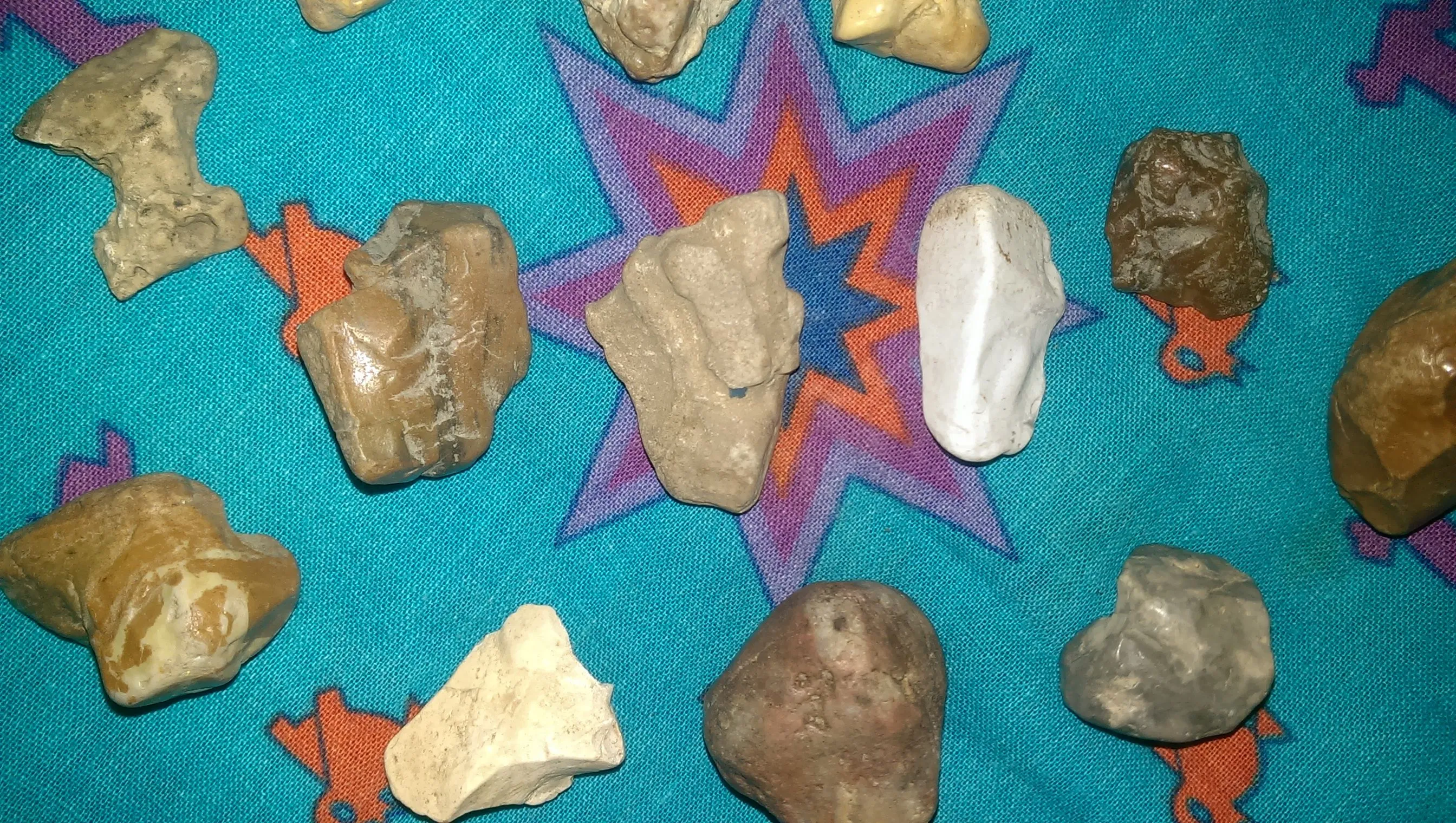 IMAG2601