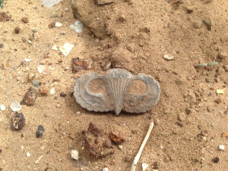 image 1310062322