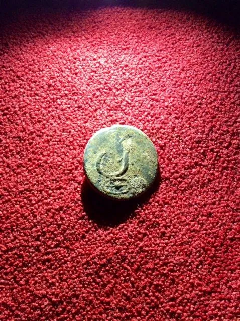 image
Pewter Infantry Button 1812-1815