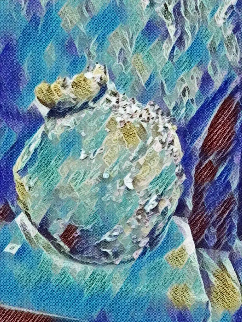imageedit 8 8688933386