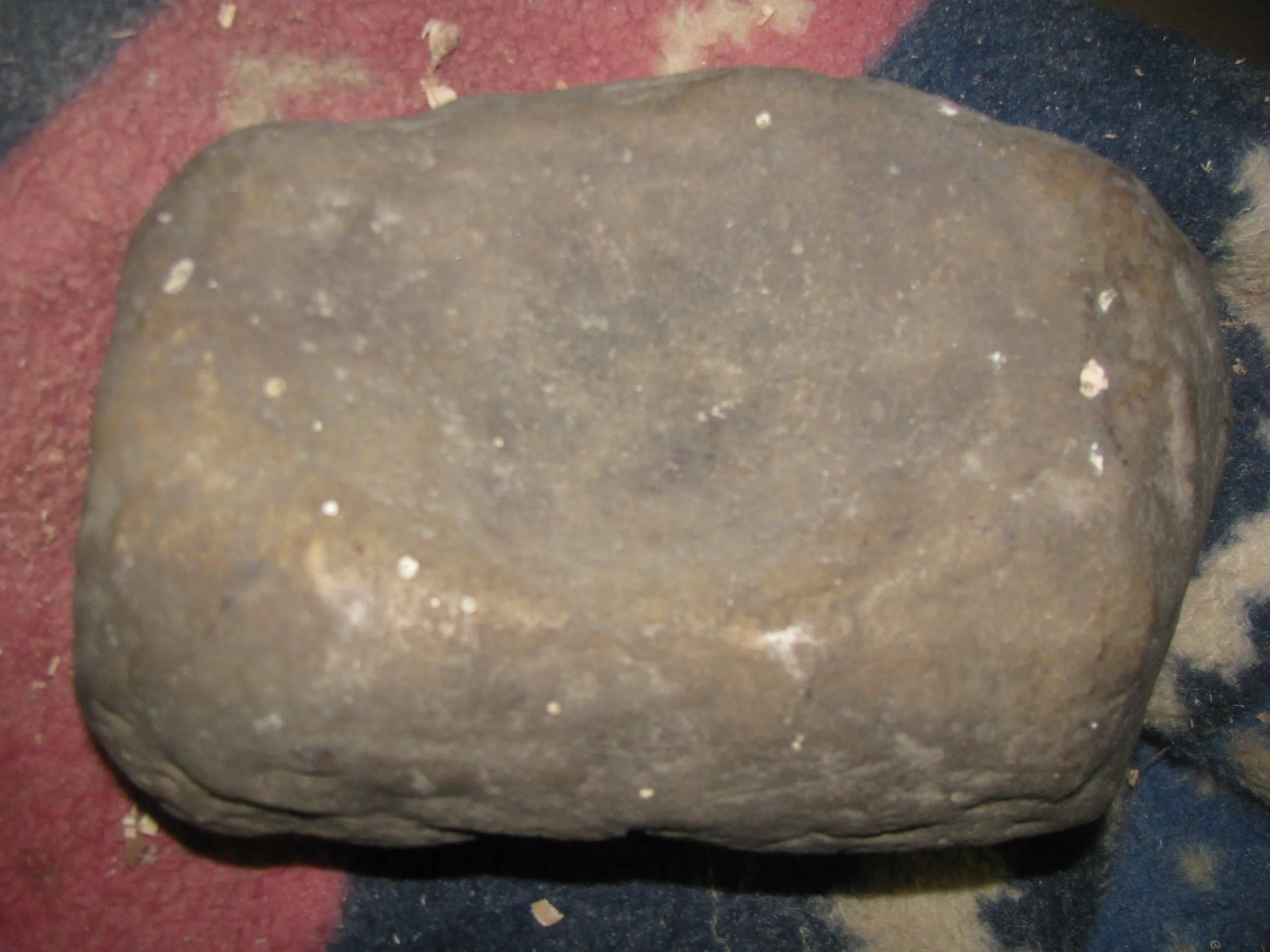 IMG 0092