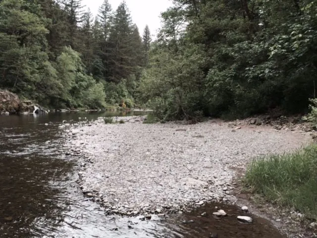 IMG 0610