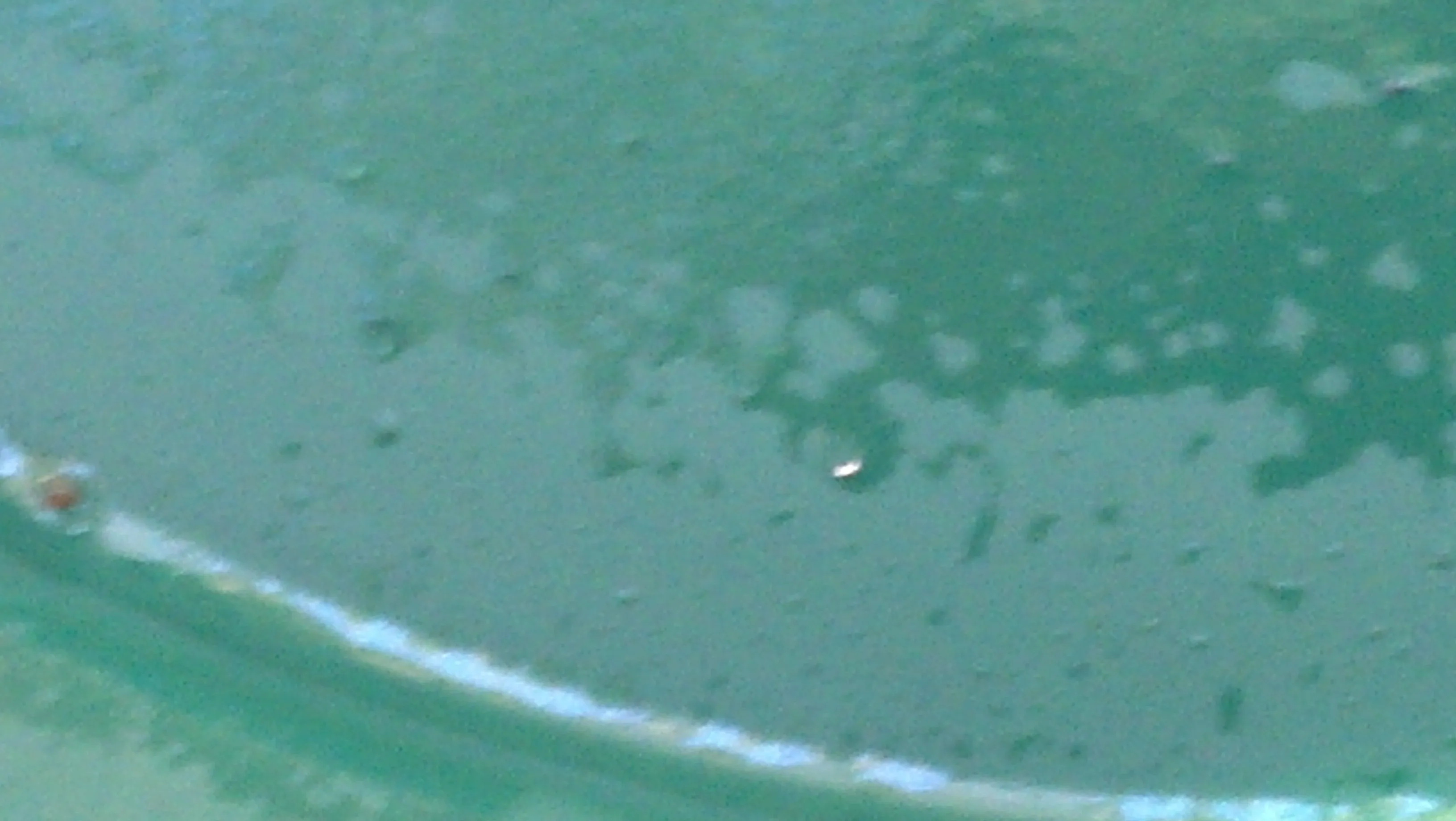IMG 20131129 131132 632