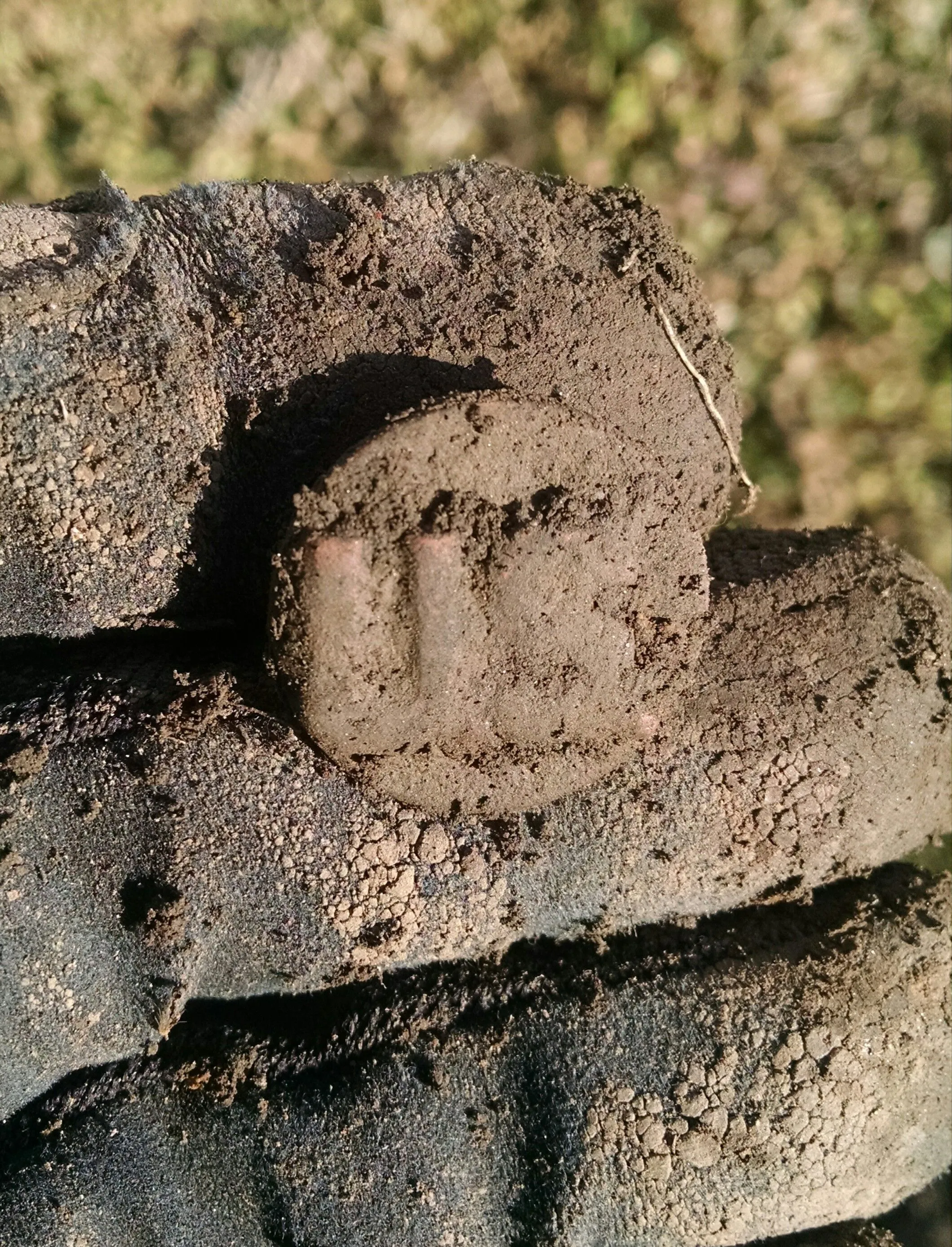 IMG 20151210 150730