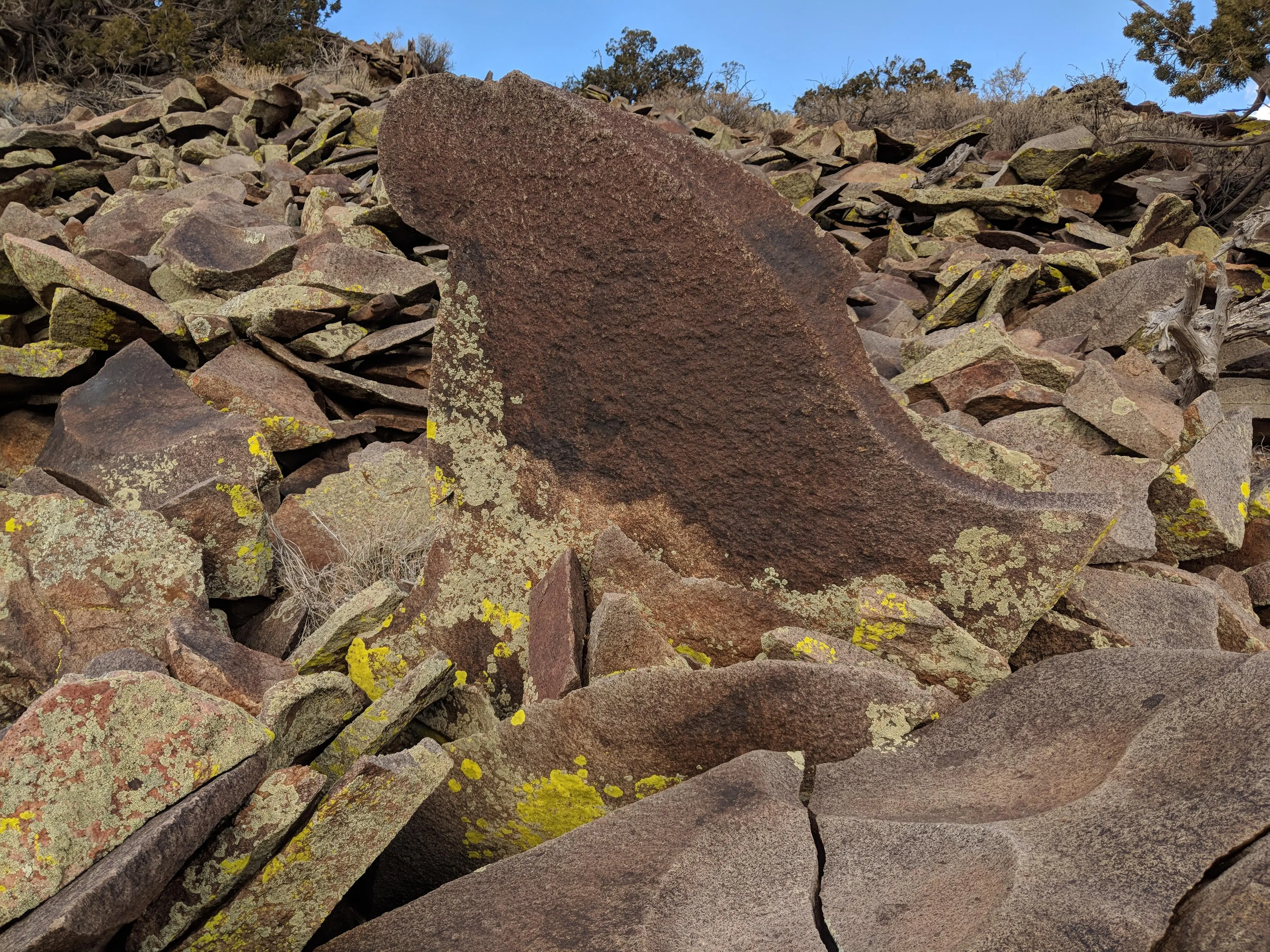 IMG 20190217 160721