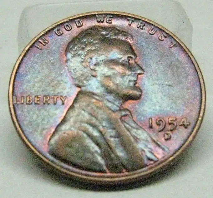 IMG 5548.
