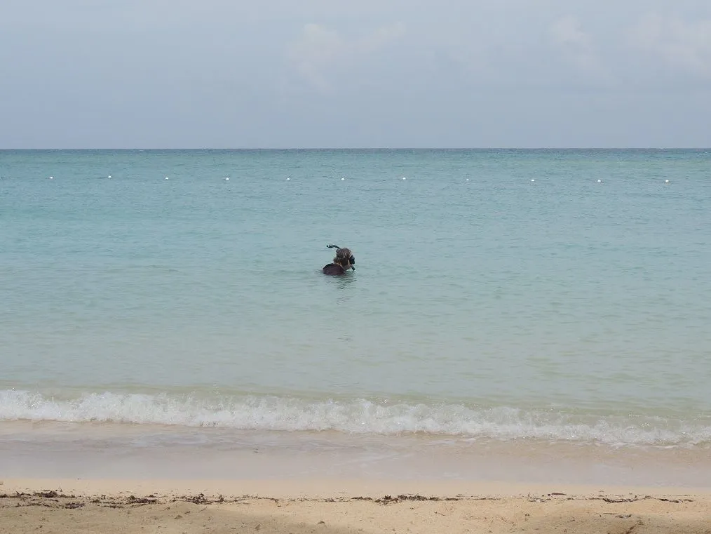 IN JAMAICAN WATERS