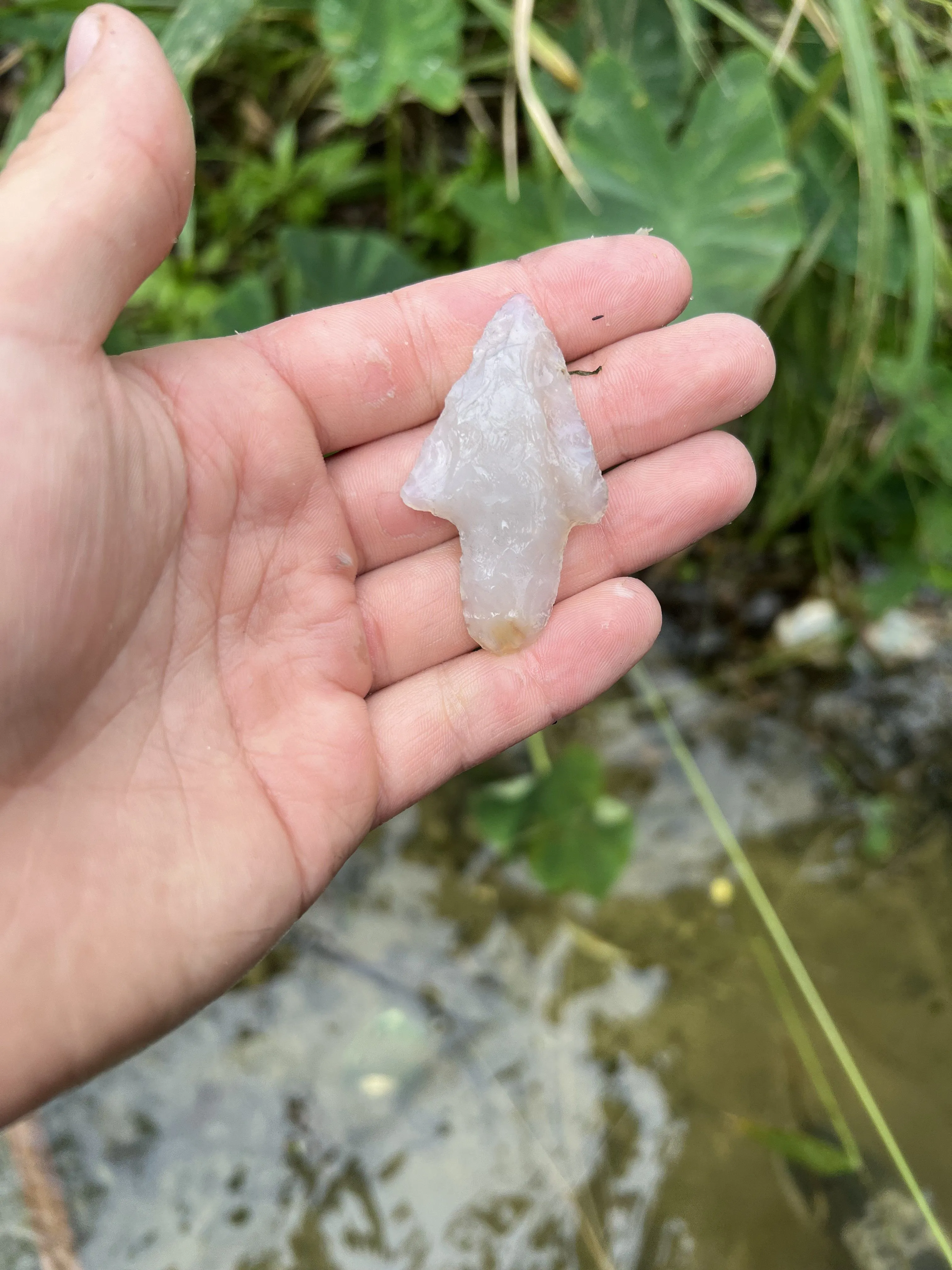 Insane Newnan knife blade my friend found in central Florida!