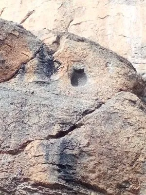 جوغان مربع بر دی&#