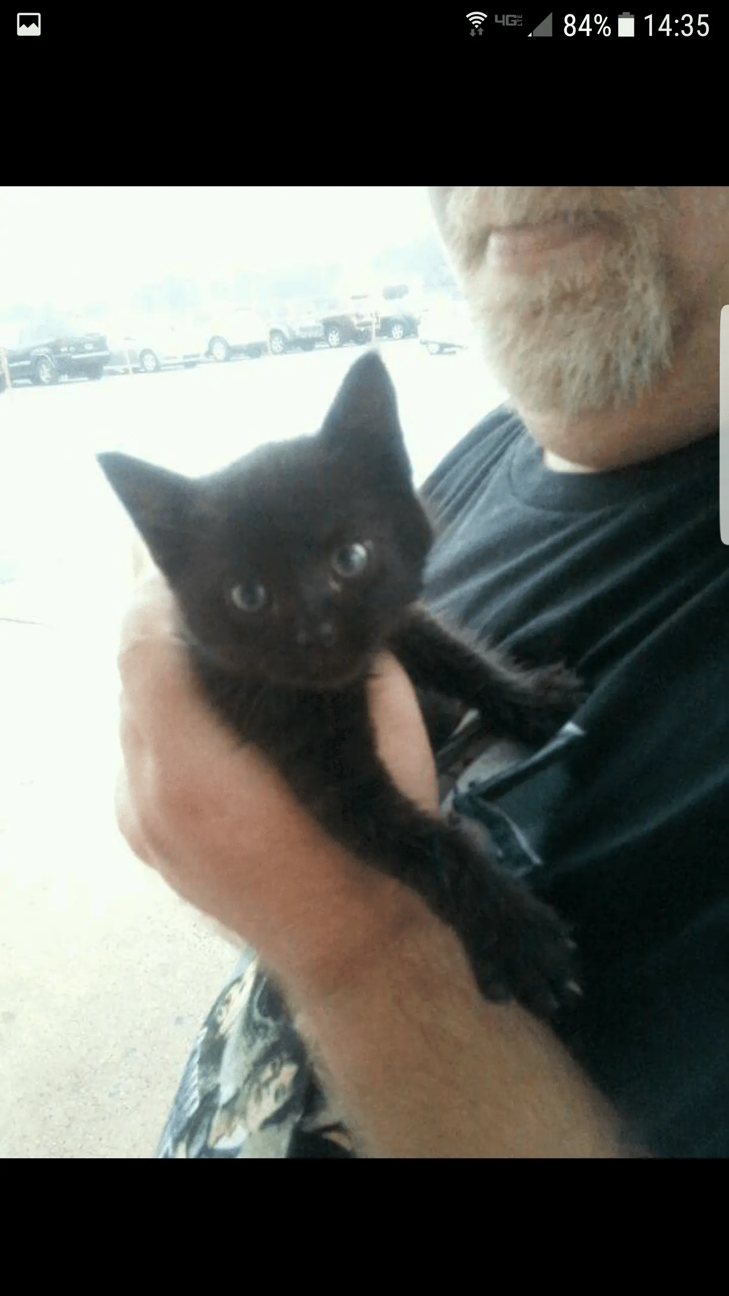 "Jynx"...one of my 5 feral cats I gave a home to