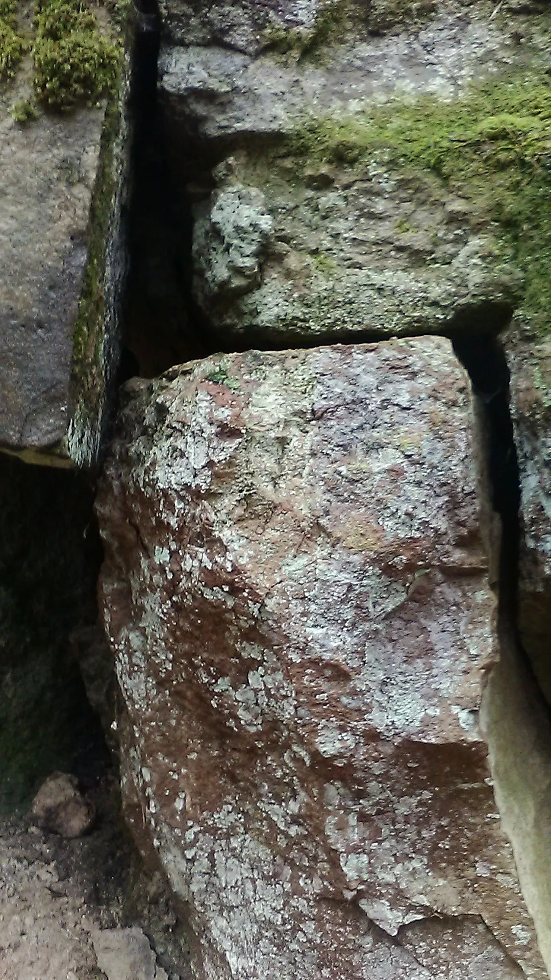 KIMG0092