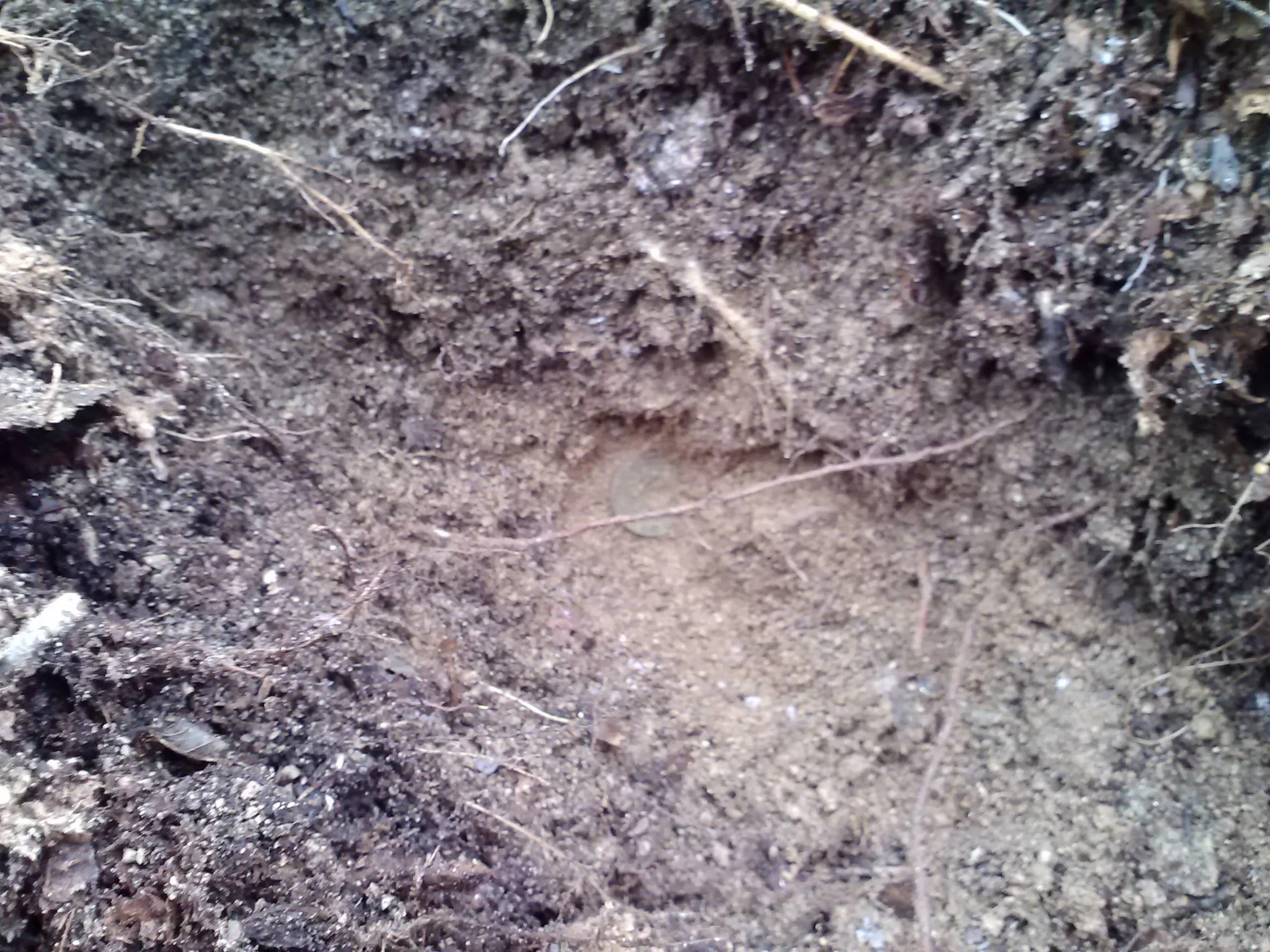 Korean coin in the dirt