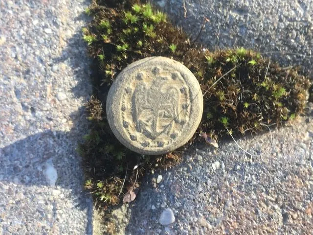 Late 1820s Navy button! Exact match of the one found earlier in the year at the same site! 10-17