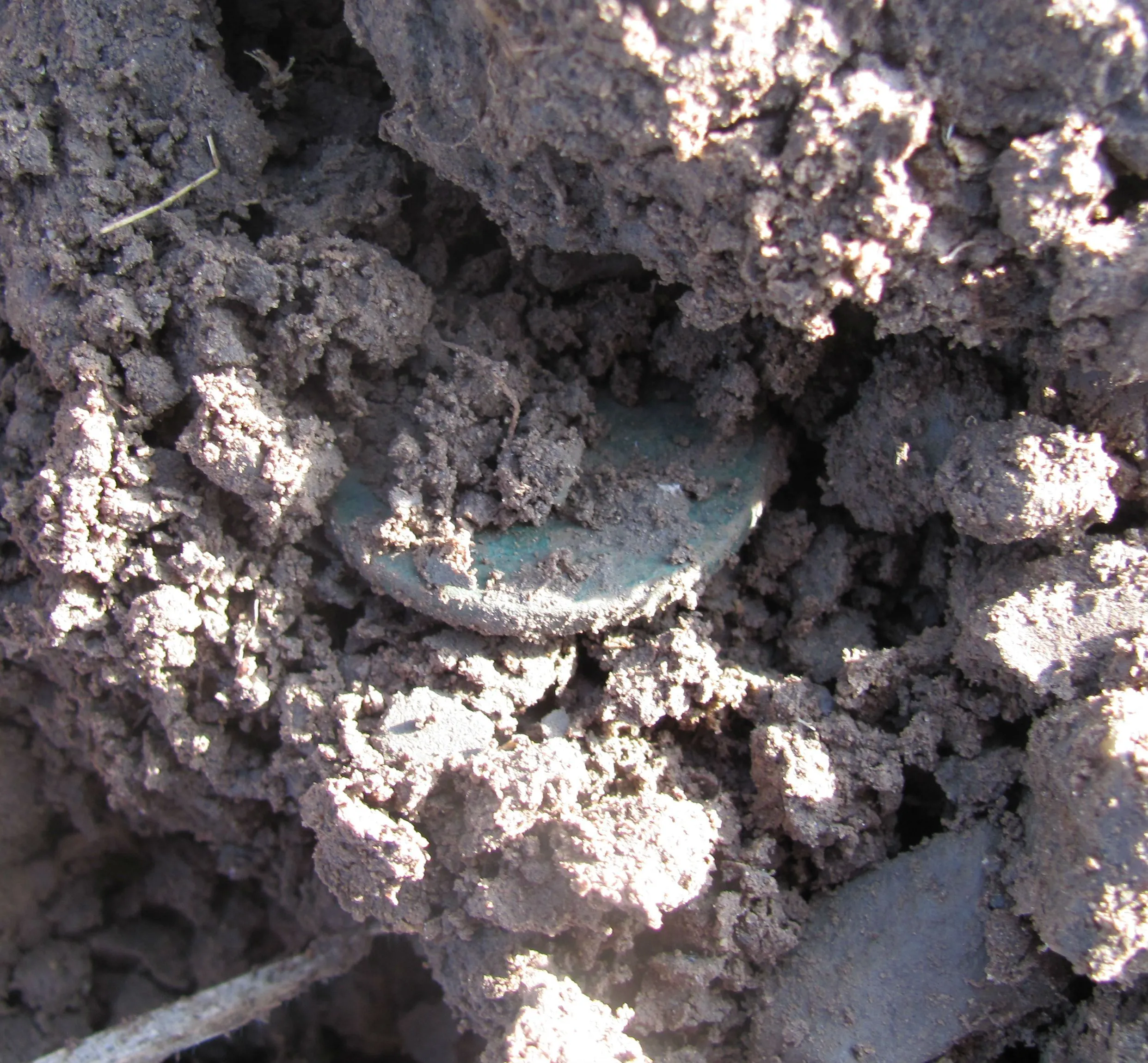 Liberty Cap Cent in the dirt, first daylight in over 215 years! 11/2012
