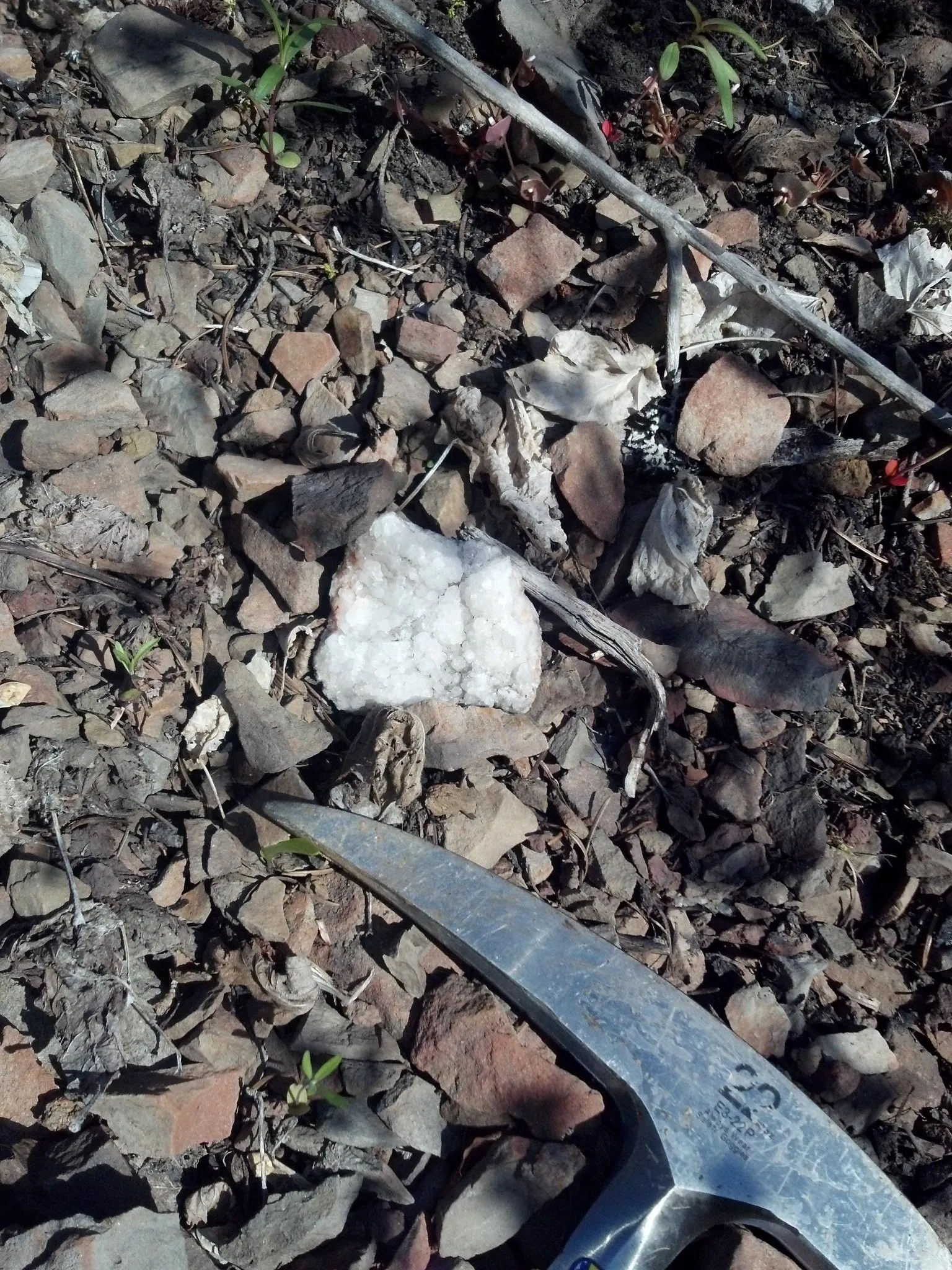 Look for anything that looks different. This is a corner piece of a quartz lined geode that got busted up from falling down the cliff edge.