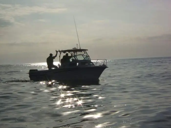 Love Diving for Treasure