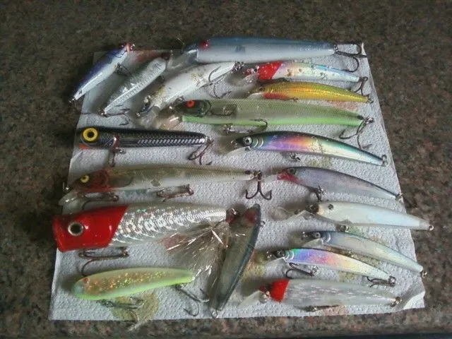 lures      galore.    florida