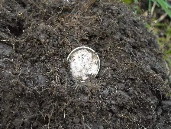 Mercury dime