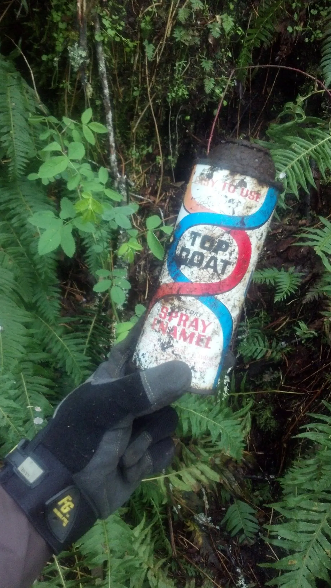 Metal Detecting an old farming area in Snoqualmie WA.