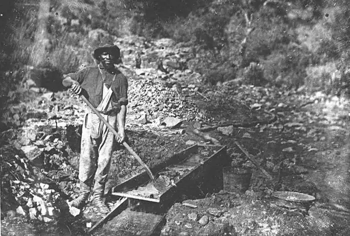 miner Aub rav