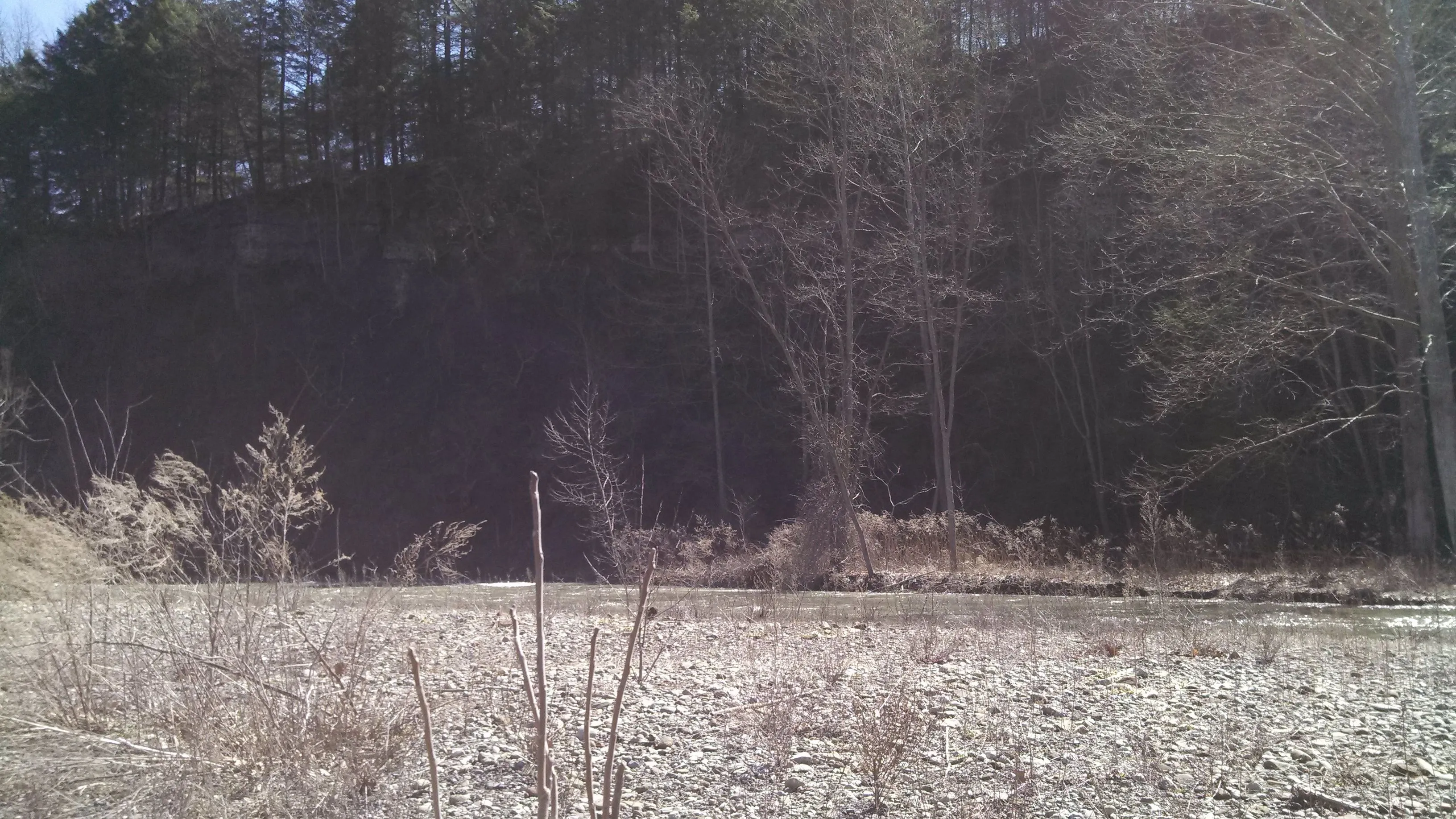 Mini beach in the woods, with a ginormous cliff opposite the creek.